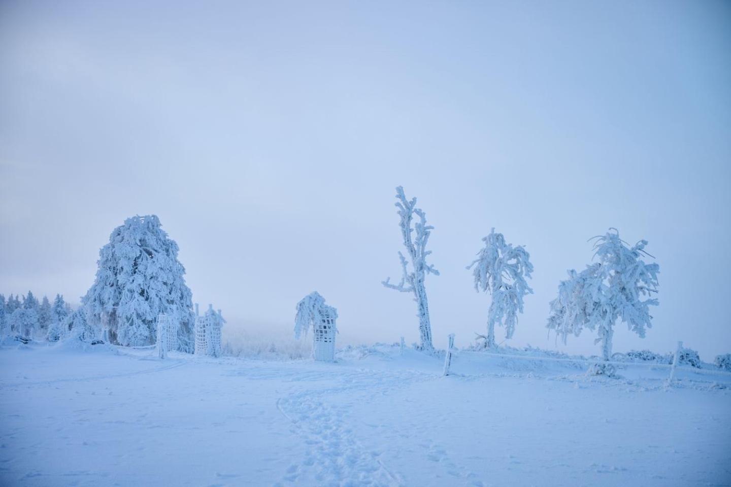 Na Malem Haji, Domek S Finskou Saunou Hora Svate Kateriny Buitenkant foto